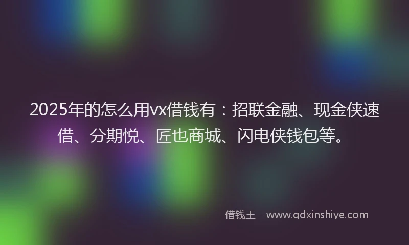 2025年的怎么用vx借钱有：招联金融、现金侠速借、分期悦、匠也商城、闪电侠钱包等。