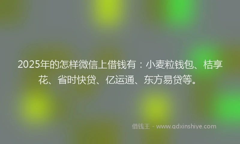 2025年的怎样微信上借钱有：小麦粒钱包、桔享花、省时快贷、亿运通、东方易贷等。
