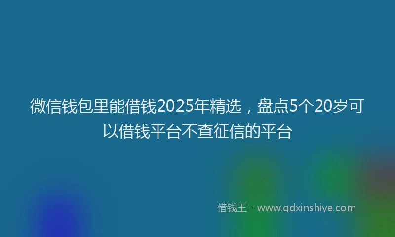 微信钱包里能借钱2025年精选，盘点5个20岁可以借钱平台不查征信的平台