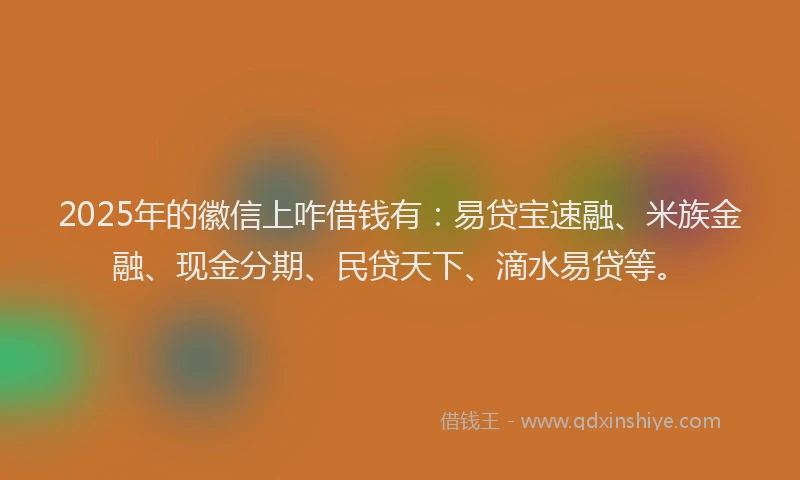 2025年的徽信上咋借钱有：易贷宝速融、米族金融、现金分期、民贷天下、滴水易贷等。