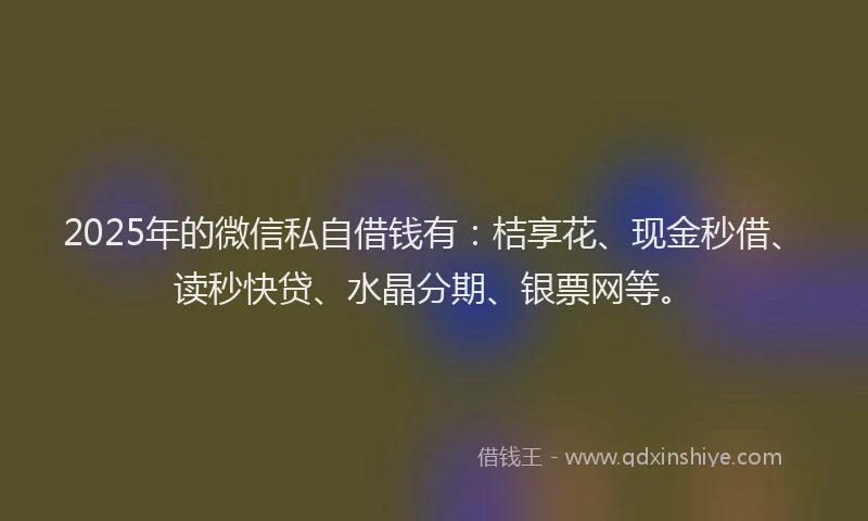 2025年的微信私自借钱有：桔享花、现金秒借、读秒快贷、水晶分期、银票网等。