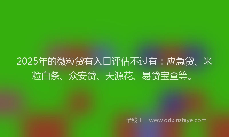2025年的微粒贷有入口评估不过有：应急贷、米粒白条、众安贷、天源花、易贷宝盒等。
