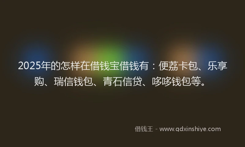 2025年的怎样在借钱宝借钱有：便荔卡包、乐享购、瑞信钱包、青石信贷、哆哆钱包等。