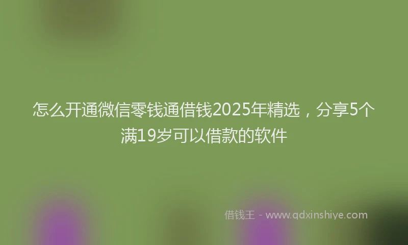 怎么开通微信零钱通借钱2025年精选，分享5个满19岁可以借款的软件