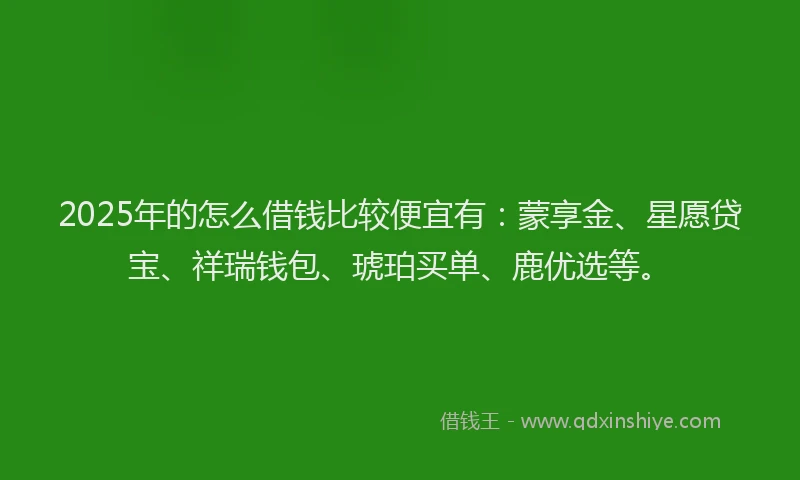 2025年的怎么借钱比较便宜有：蒙享金、星愿贷宝、祥瑞钱包、琥珀买单、鹿优选等。