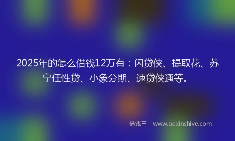 2025年的怎么借钱12万有：闪贷侠、提取花、苏宁任性贷、小象分期、速贷侠通等。