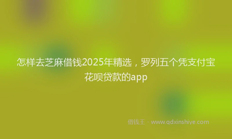 怎样去芝麻借钱2025年精选，罗列五个凭支付宝花呗贷款的app