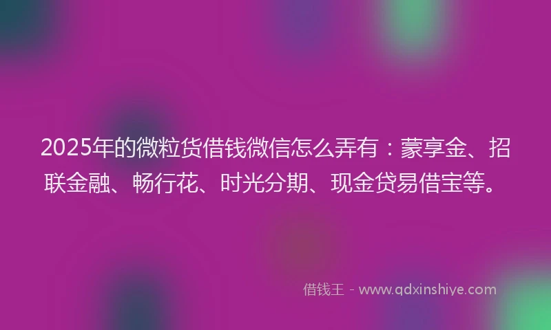 2025年的微粒货借钱微信怎么弄有：蒙享金、招联金融、畅行花、时光分期、现金贷易借宝等。