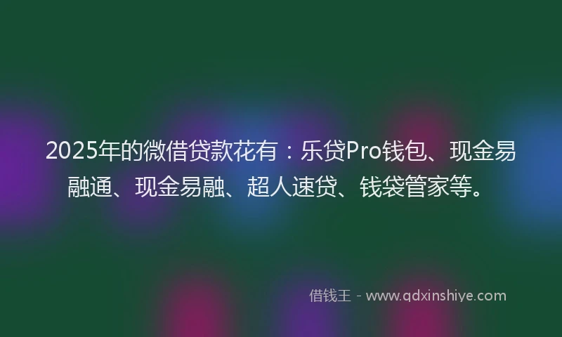 2025年的微借贷款花有：乐贷Pro钱包、现金易融通、现金易融、超人速贷、钱袋管家等。
