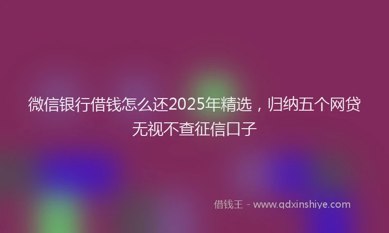 微信银行借钱怎么还2025年精选，归纳五个网贷无视不查征信口子