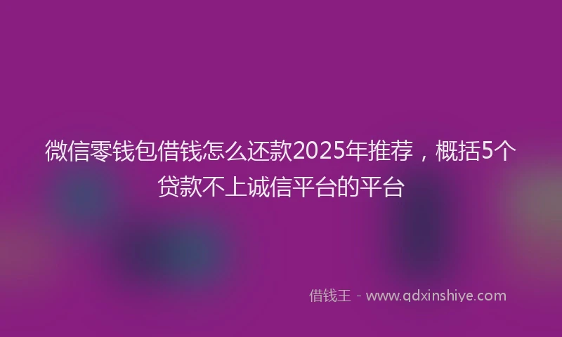 微信零钱包借钱怎么还款2025年推荐，概括5个贷款不上诚信平台的平台
