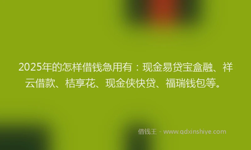 2025年的怎样借钱急用有：现金易贷宝盒融、祥云借款、桔享花、现金侠快贷、福瑞钱包等。