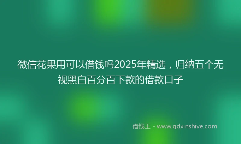微信花果用可以借钱吗2025年精选，归纳五个无视黑白百分百下款的借款口子