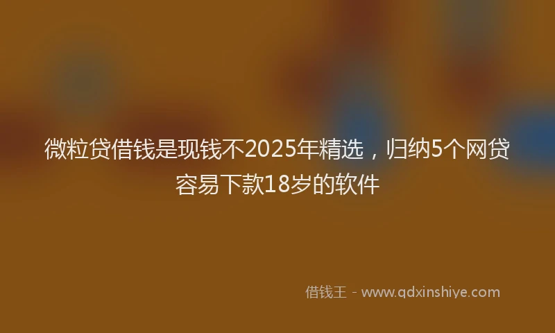 微粒贷借钱是现钱不2025年精选，归纳5个网贷容易下款18岁的软件