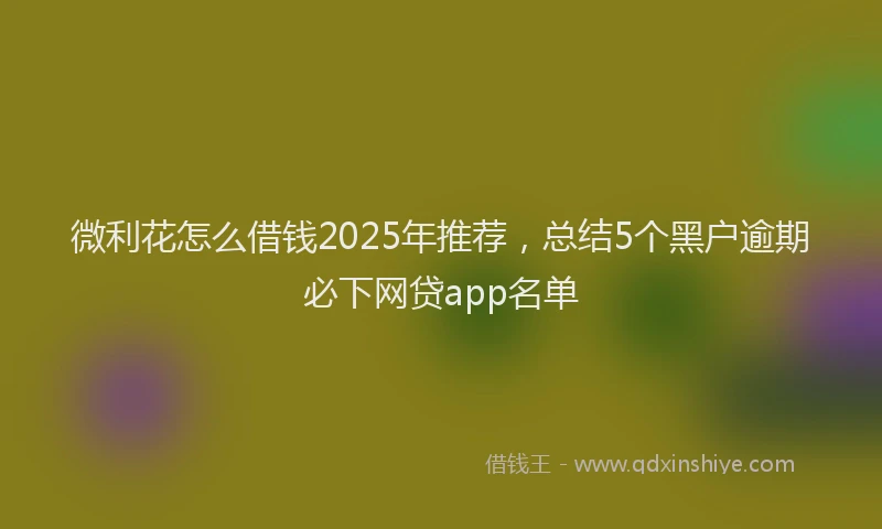 微利花怎么借钱2025年推荐，总结5个黑户逾期必下网贷app名单