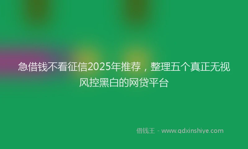急借钱不看征信2025年推荐，整理五个真正无视风控黑白的网贷平台