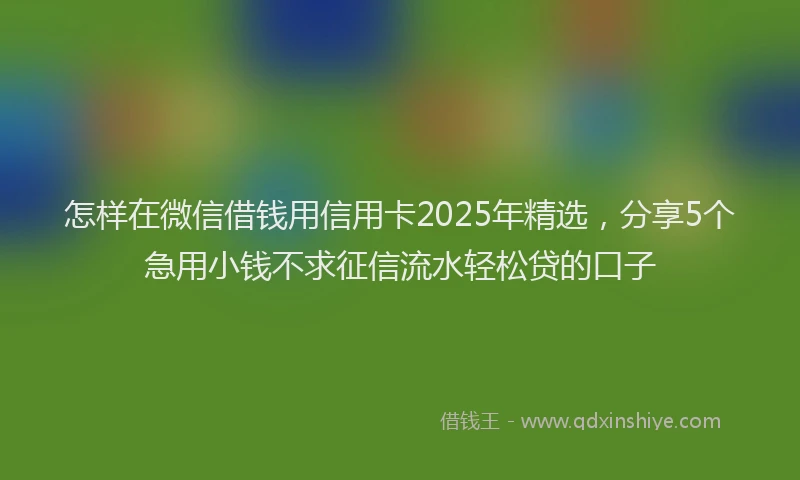 怎样在微信借钱用信用卡2025年精选，分享5个急用小钱不求征信流水轻松贷的口子