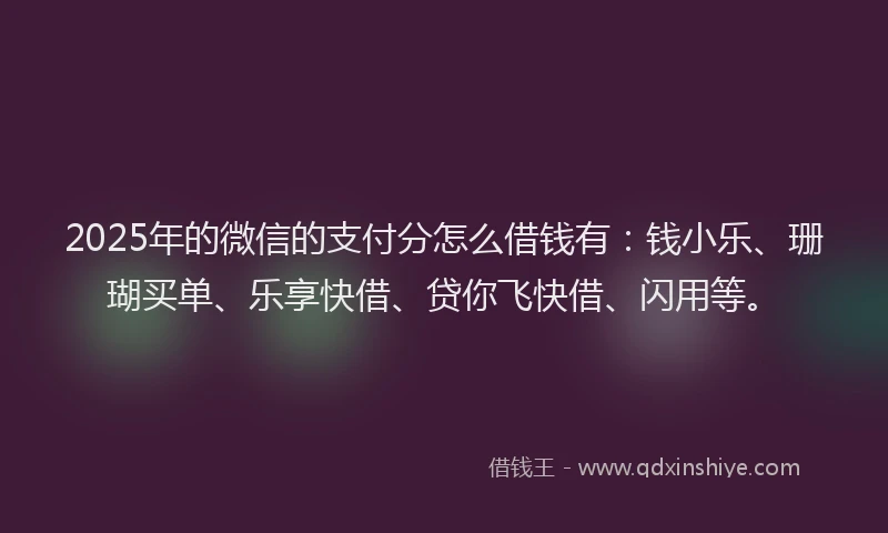 2025年的微信的支付分怎么借钱有：钱小乐、珊瑚买单、乐享快借、贷你飞快借、闪用等。
