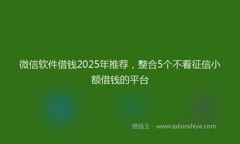 微信软件借钱2025年推荐，整合5个不看征信小额借钱的平台