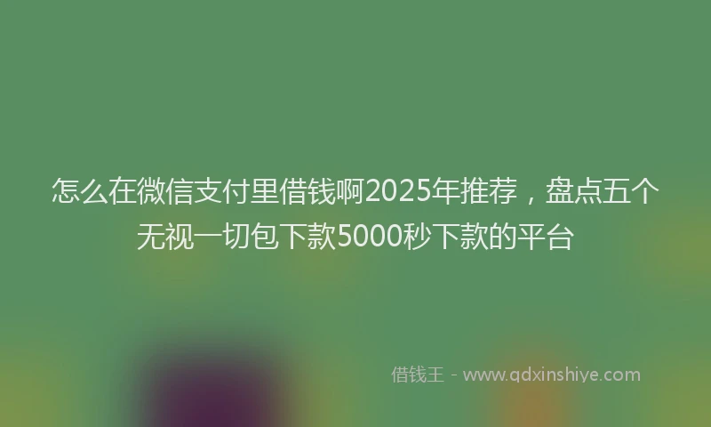 怎么在微信支付里借钱啊2025年推荐，盘点五个无视一切包下款5000秒下款的平台