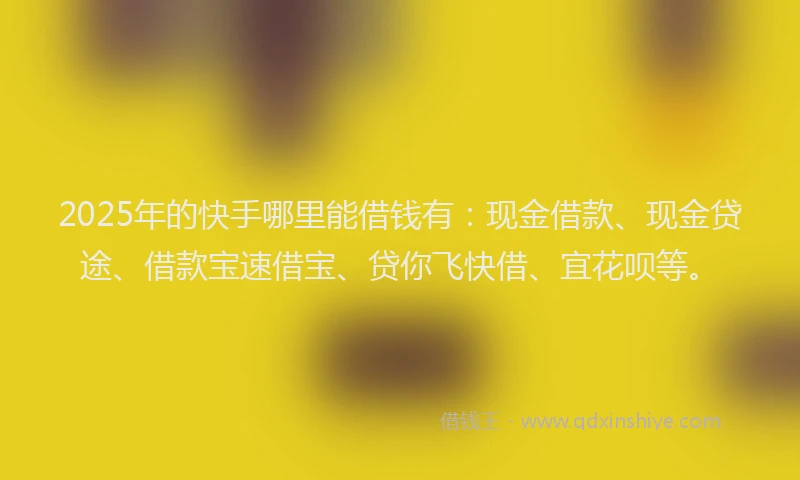 2025年的快手哪里能借钱有：现金借款、现金贷途、借款宝速借宝、贷你飞快借、宜花呗等。