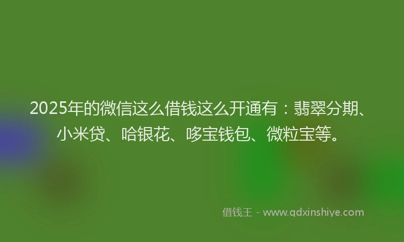 2025年的微信这么借钱这么开通有：翡翠分期、小米贷、哈银花、哆宝钱包、微粒宝等。