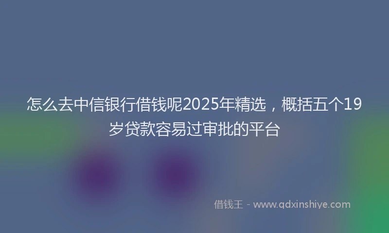 怎么去中信银行借钱呢2025年精选，概括五个19岁贷款容易过审批的平台