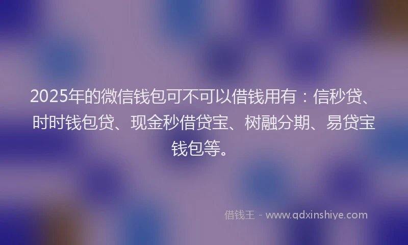 2025年的微信钱包可不可以借钱用有：信秒贷、时时钱包贷、现金秒借贷宝、树融分期、易贷宝钱包等。