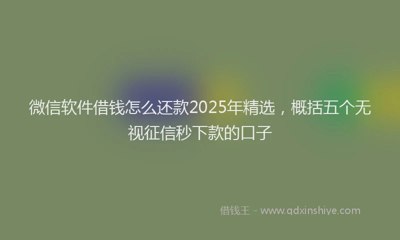 微信软件借钱怎么还款2025年精选，概括五个无视征信秒下款的口子