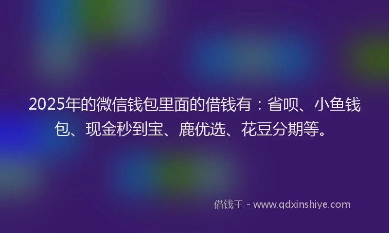 2025年的微信钱包里面的借钱有：省呗、小鱼钱包、现金秒到宝、鹿优选、花豆分期等。