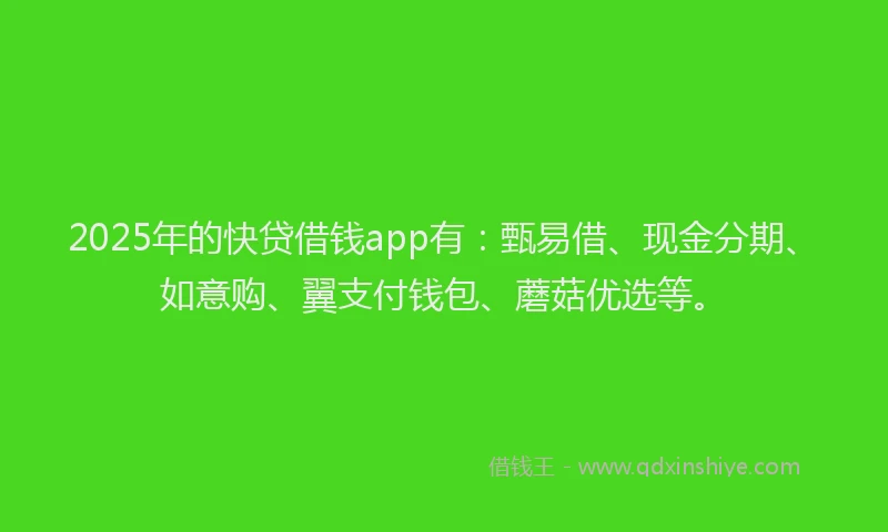 2025年的快贷借钱app有：甄易借、现金分期、如意购、翼支付钱包、蘑菇优选等。