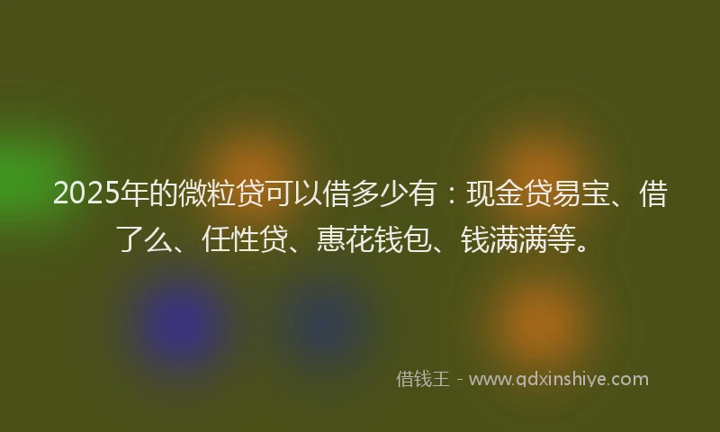 2025年的微粒贷可以借多少有：现金贷易宝、借了么、任性贷、惠花钱包、钱满满等。