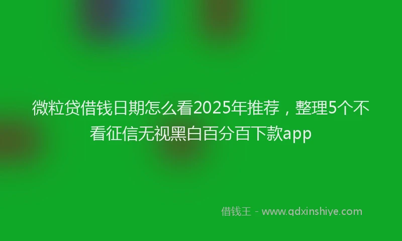 微粒贷借钱日期怎么看2025年推荐，整理5个不看征信无视黑白百分百下款app