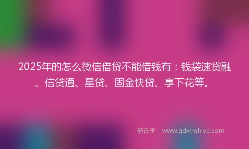 2025年的怎么微信借贷不能借钱有：钱袋速贷融、信贷通、星贷、固金快贷、享下花等。