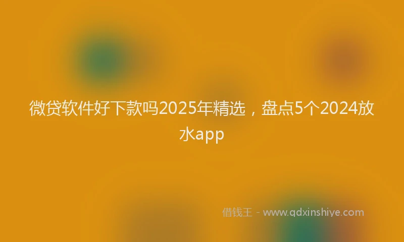 微贷软件好下款吗2025年精选，盘点5个2024放水app