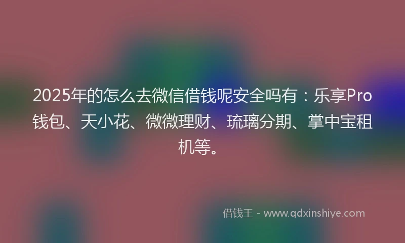 2025年的怎么去微信借钱呢安全吗有：乐享Pro钱包、天小花、微微理财、琉璃分期、掌中宝租机等。
