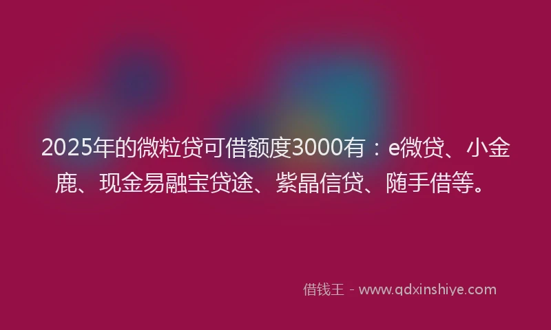 2025年的微粒贷可借额度3000有：e微贷、小金鹿、现金易融宝贷途、紫晶信贷、随手借等。