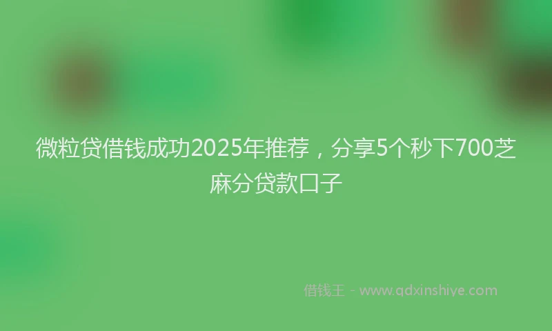 微粒贷借钱成功2025年推荐，分享5个秒下700芝麻分贷款口子