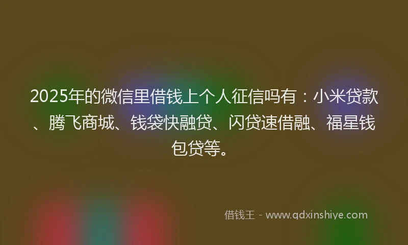 2025年的微信里借钱上个人征信吗有：小米贷款、腾飞商城、钱袋快融贷、闪贷速借融、福星钱包贷等。