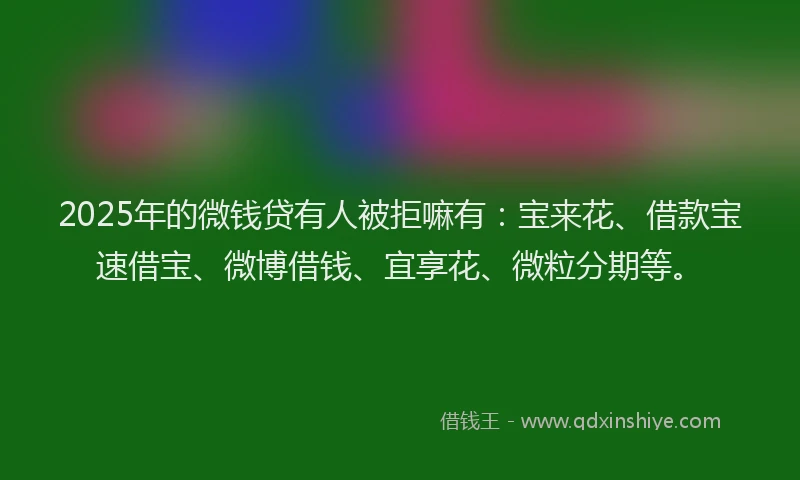 2025年的微钱贷有人被拒嘛有：宝来花、借款宝速借宝、微博借钱、宜享花、微粒分期等。