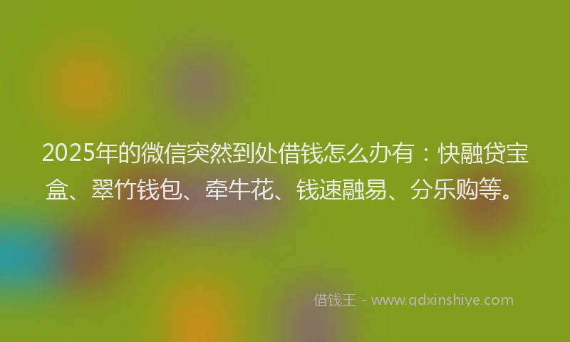2025年的微信突然到处借钱怎么办有：快融贷宝盒、翠竹钱包、牵牛花、钱速融易、分乐购等。