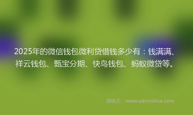 2025年的微信钱包微利贷借钱多少有：钱满满、祥云钱包、甄宝分期、快鸟钱包、蚂蚁微贷等。
