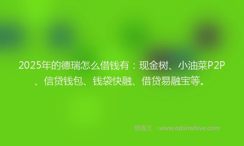 2025年的德瑞怎么借钱有：现金树、小油菜P2P、信贷钱包、钱袋快融、借贷易融宝等。