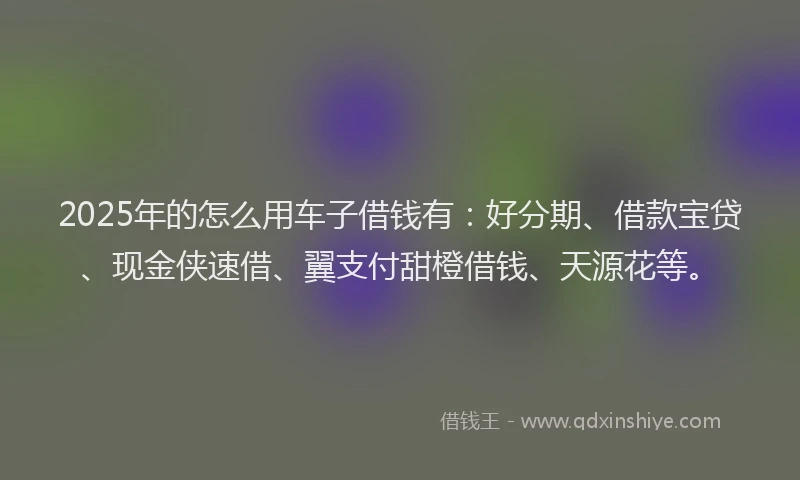 2025年的怎么用车子借钱有：好分期、借款宝贷、现金侠速借、翼支付甜橙借钱、天源花等。