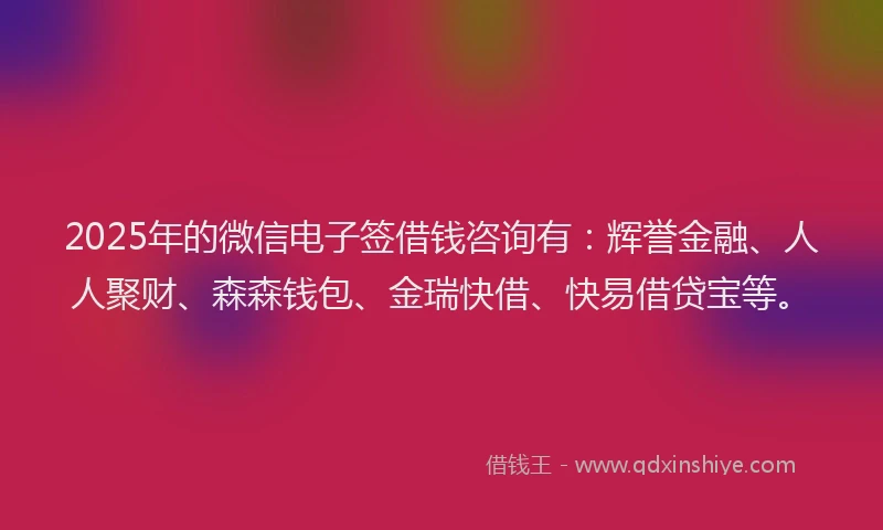 2025年的微信电子签借钱咨询有：辉誉金融、人人聚财、森森钱包、金瑞快借、快易借贷宝等。