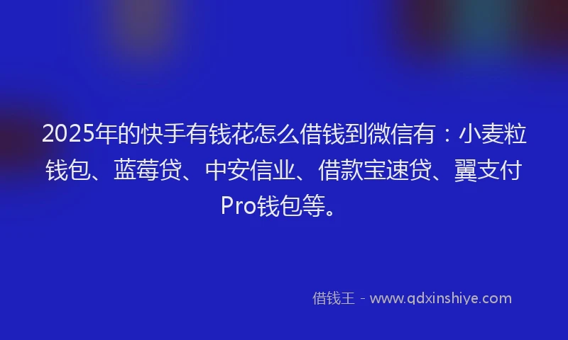 2025年的快手有钱花怎么借钱到微信有：小麦粒钱包、蓝莓贷、中安信业、借款宝速贷、翼支付Pro钱包等。