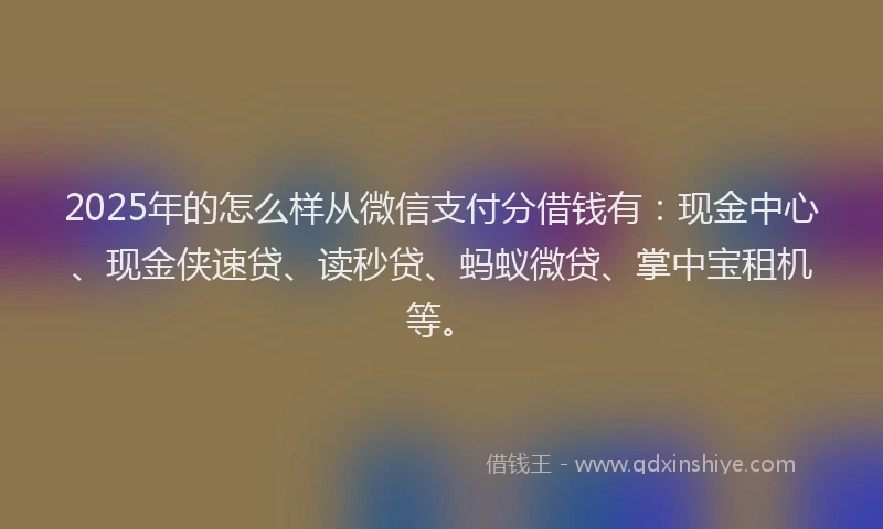 2025年的怎么样从微信支付分借钱有：现金中心、现金侠速贷、读秒贷、蚂蚁微贷、掌中宝租机等。