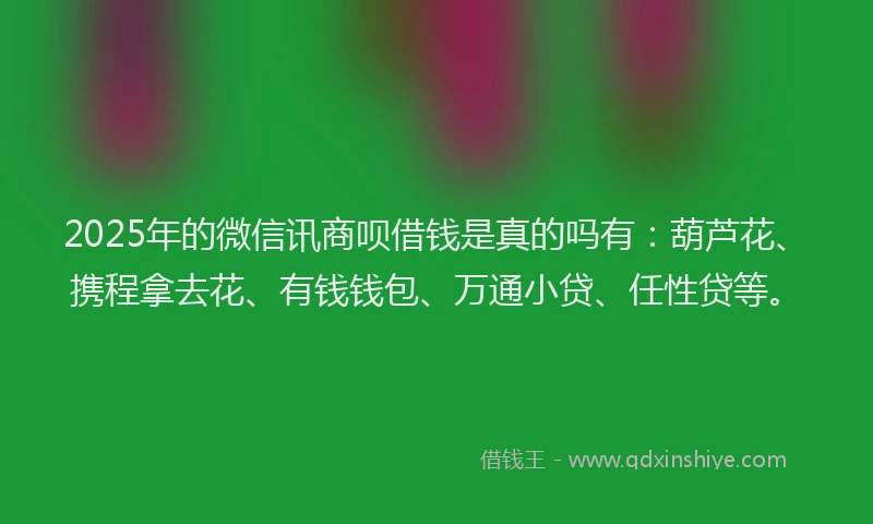 2025年的微信讯商呗借钱是真的吗有：葫芦花、携程拿去花、有钱钱包、万通小贷、任性贷等。