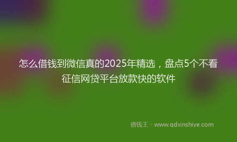 怎么借钱到微信真的2025年精选，盘点5个不看征信网贷平台放款快的软件