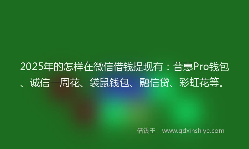 2025年的怎样在微信借钱提现有：普惠Pro钱包、诚信一周花、袋鼠钱包、融信贷、彩虹花等。